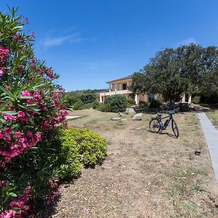 Bord De Avec Piscine Chauffee * Pianottoli-Caldarello (Corsica)